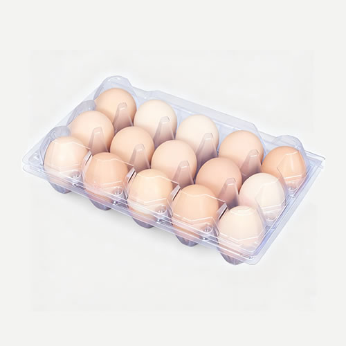 Plastic Egg Tray