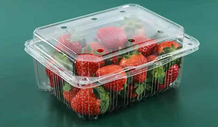 Plastic Thermoforming Machine 650-450-4