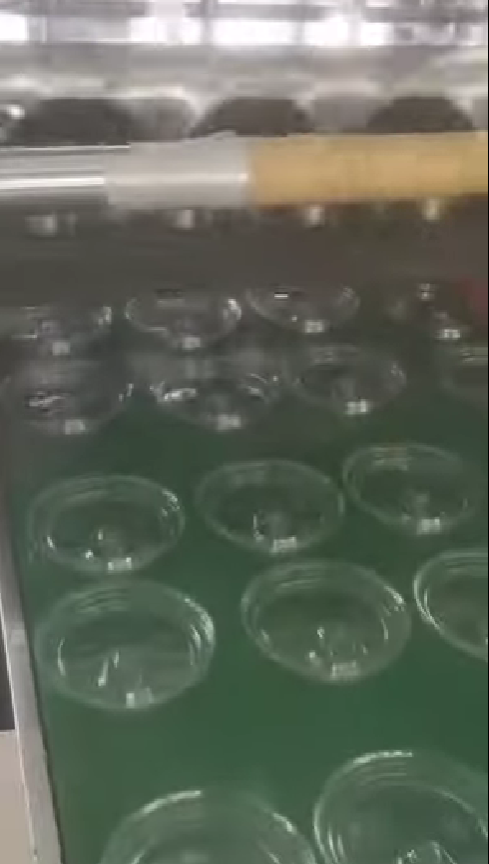 testing PET Cofee cup lid mould on lid forming machine model 450